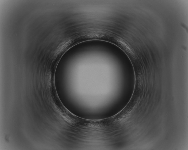 X0000093110490200709261253