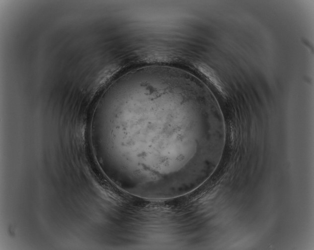 X0000093110491200709261253