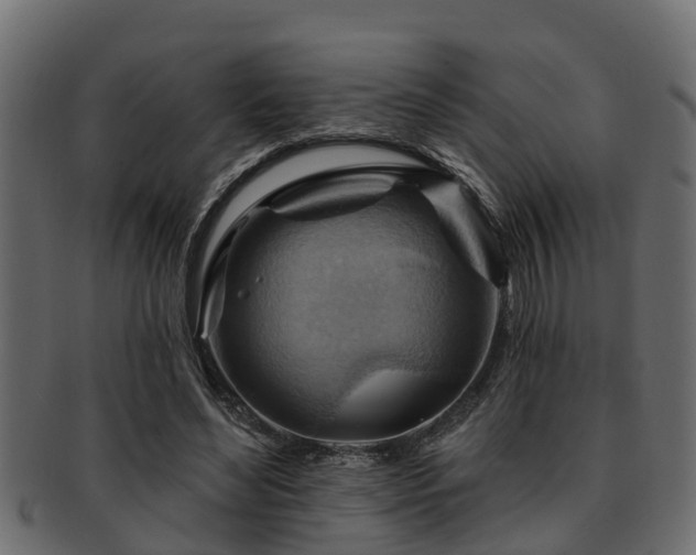 X0000093110492200709261253