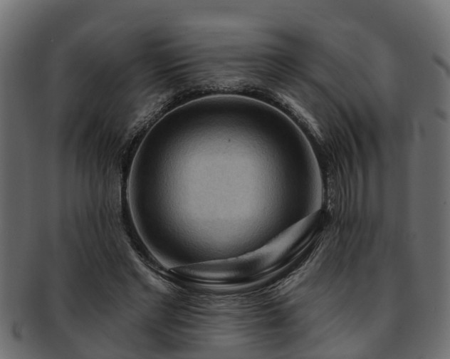 X0000093110493200709261253