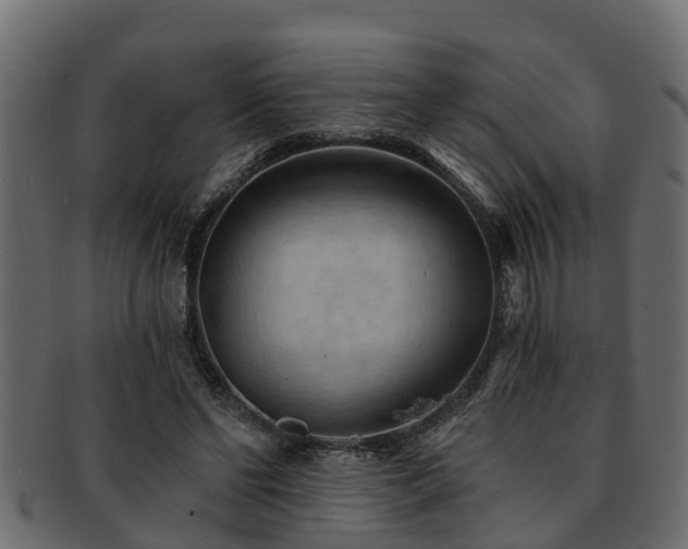 X0000093110494200709261253