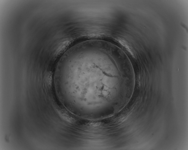 X0000093110495200709261253
