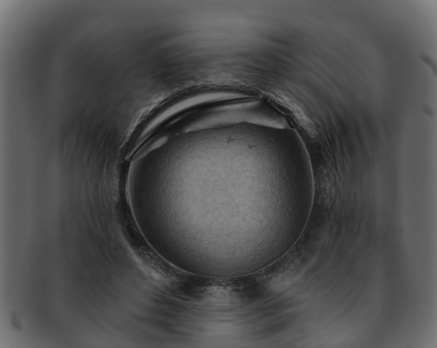 X0000093110496200709261253
