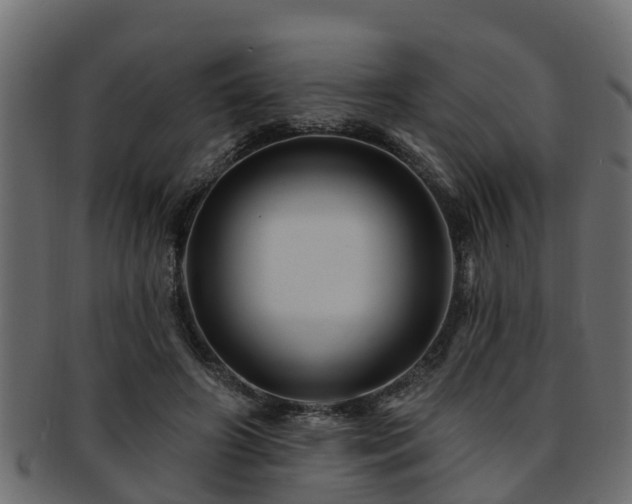 X0000093110498200709261253