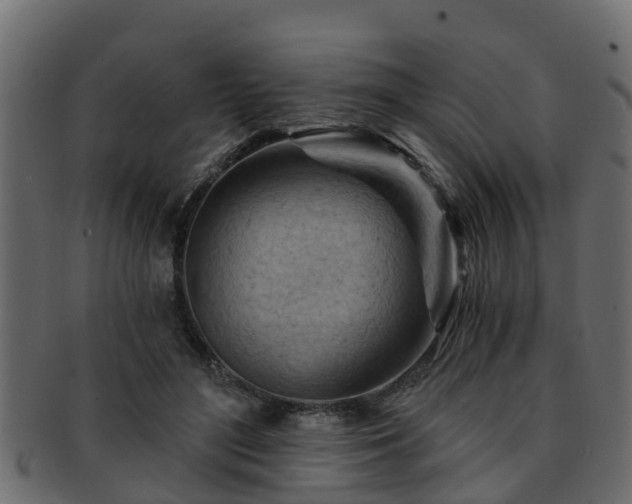 X0000093110500200709261253
