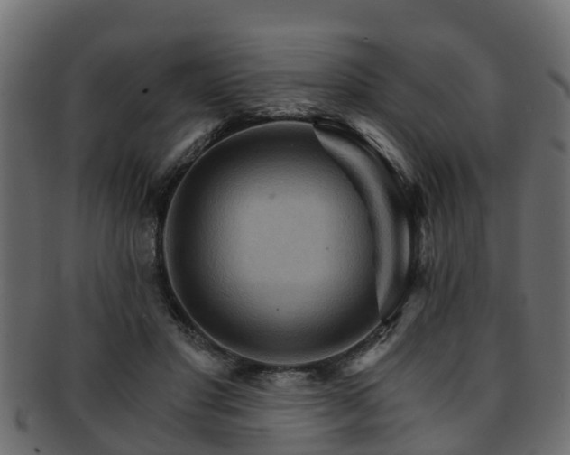 X0000093110501200709261253