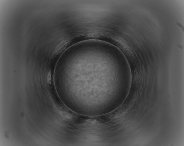 X0000093110502200709261253