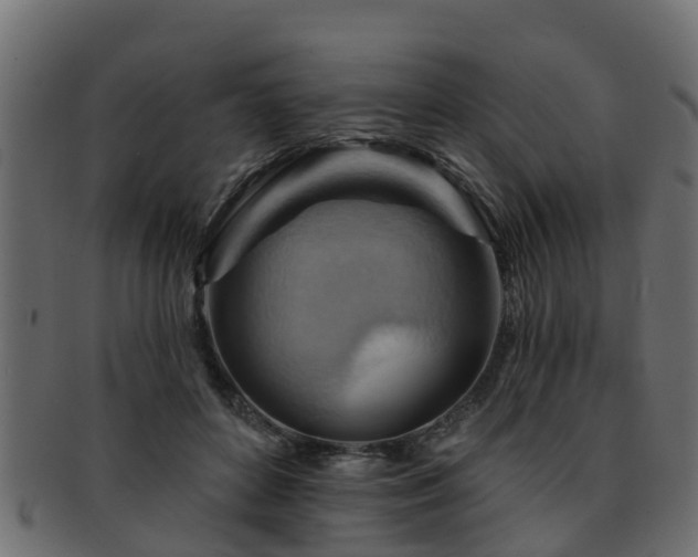 X0000093110504200709261253
