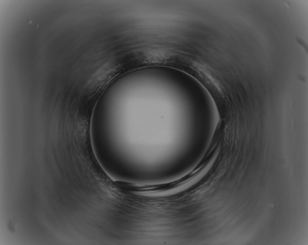 X0000093110505200709261253