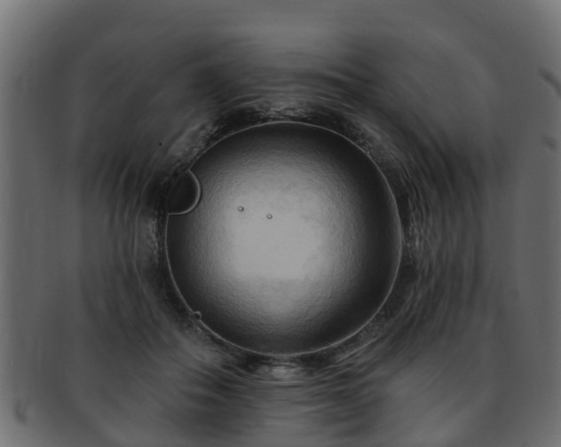 X0000093110506200709261253