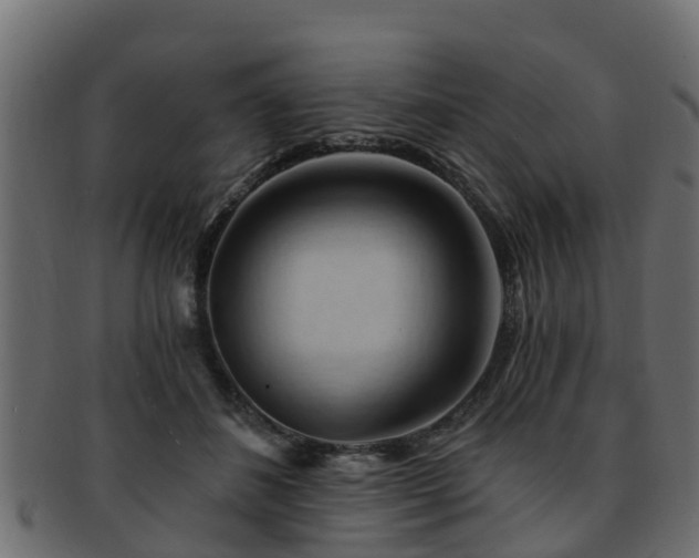 X0000093110508200709261253
