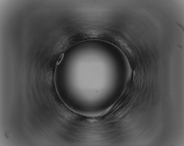 X0000093110509200709261253