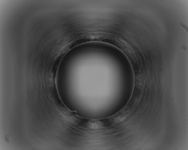 X0000093110510200709261253