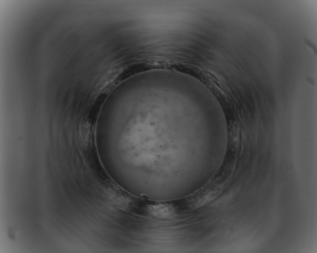 X0000093110511200709261253