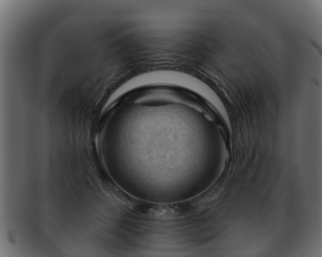 X0000093110512200709261253