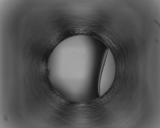 X0000093110513200709261253