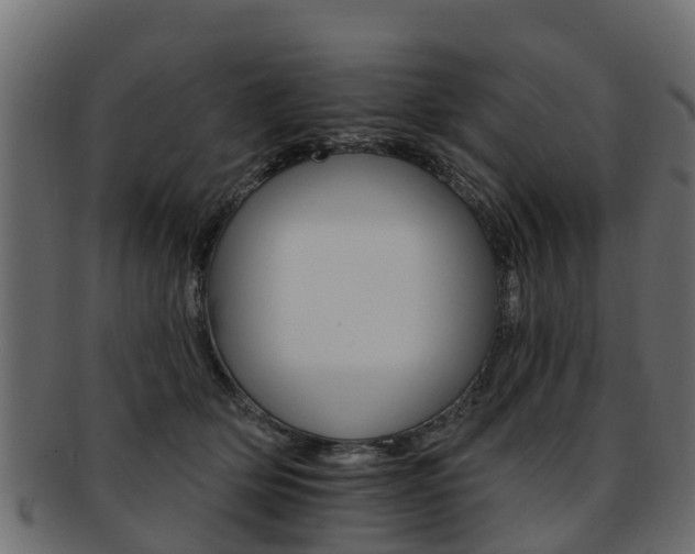 X0000093110514200709261253