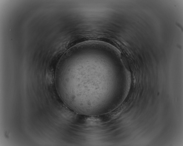 X0000093110515200709261253