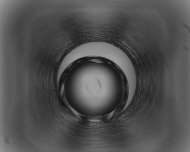 X0000093110516200709261253