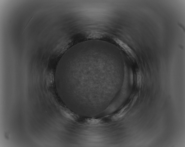 X0000093110517200709261253