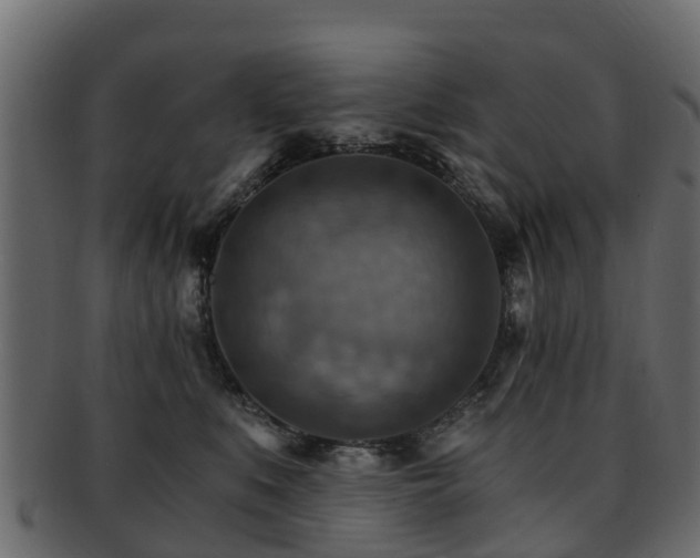 X0000093110519200709261253
