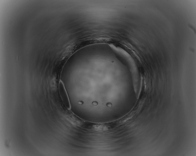 X0000093110520200709261253