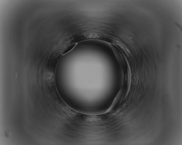 X0000093110521200709261253