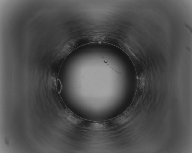 X0000093110522200709261253