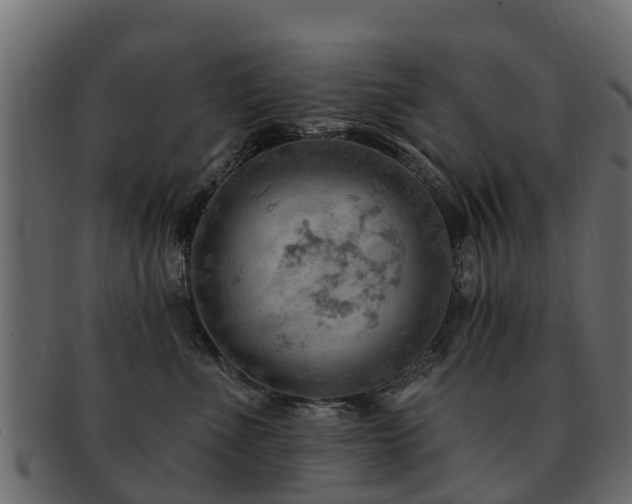 X0000093110523200709261253
