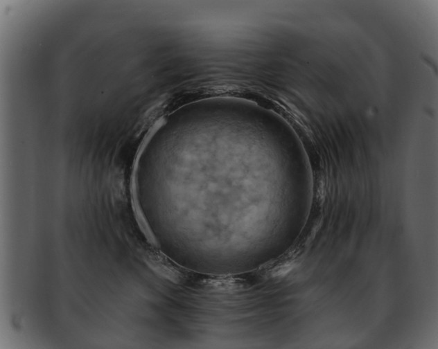 X0000093110524200709261253