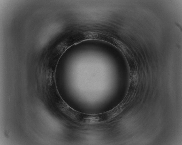 X0000093110525200709261253