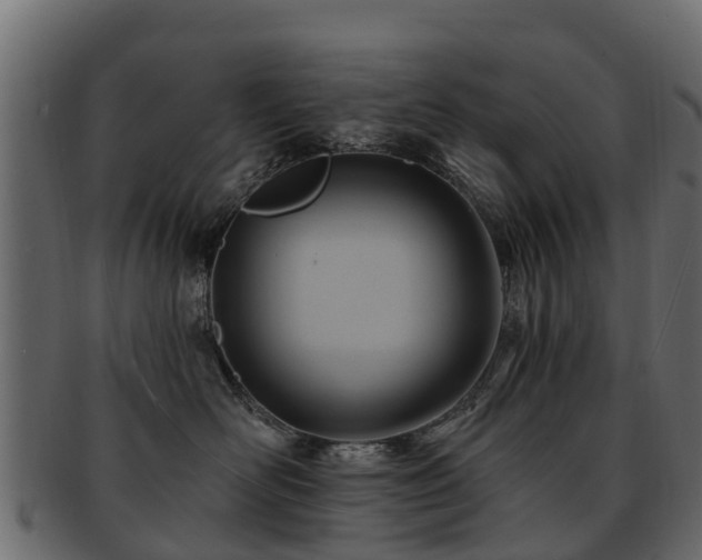 X0000093110526200709261253