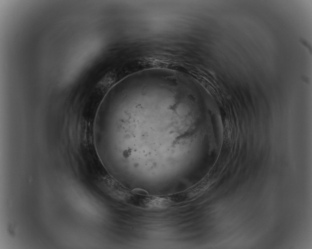 X0000093110527200709261253