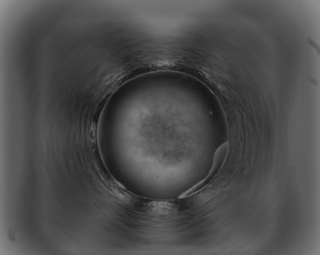 X0000093110528200709261253