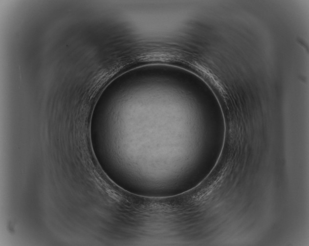 X0000093110529200709261252