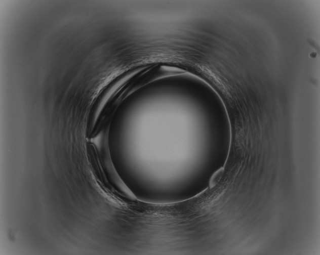 X0000093110530200709261252