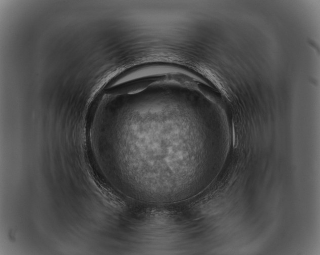 X0000093110531200709261252