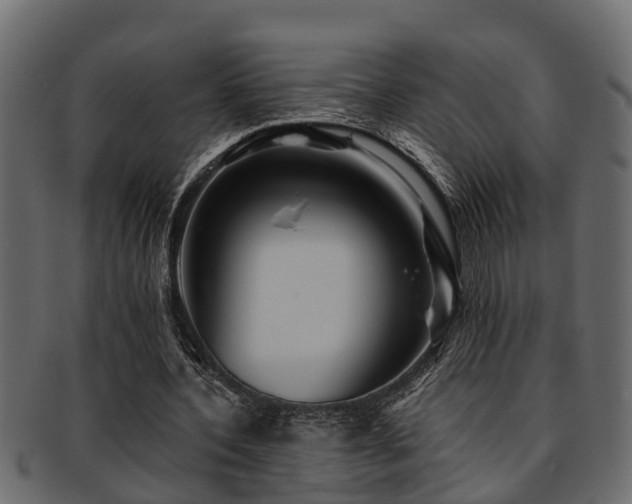X0000093110532200709261252