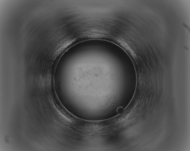 X0000093110533200709261252