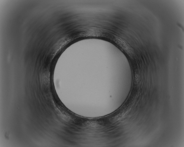 X0000093110534200709261252