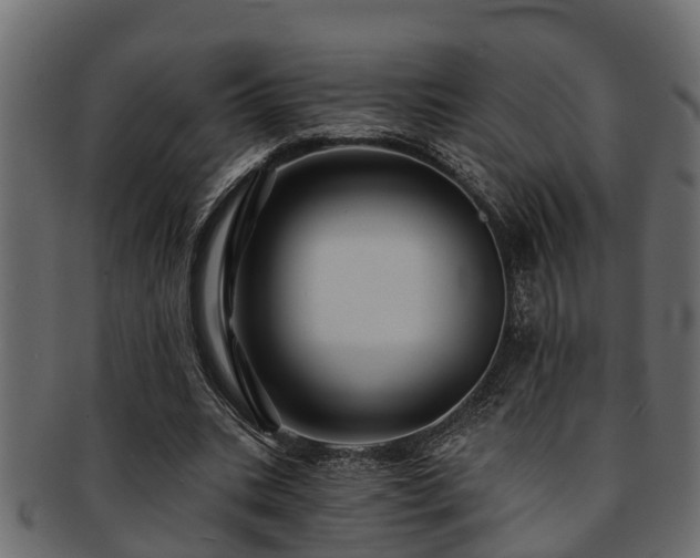 X0000093110535200709261252