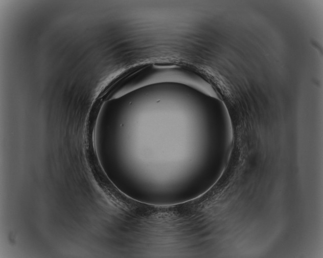 X0000093110536200709261252