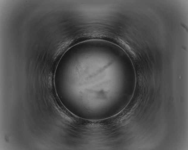 X0000093110537200709261252