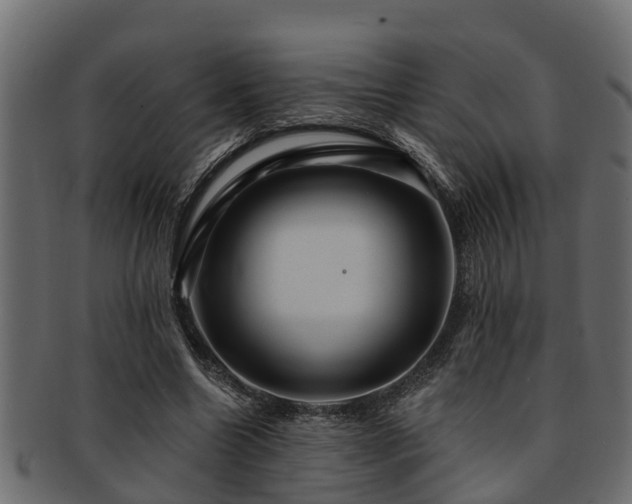 X0000093110538200709261252