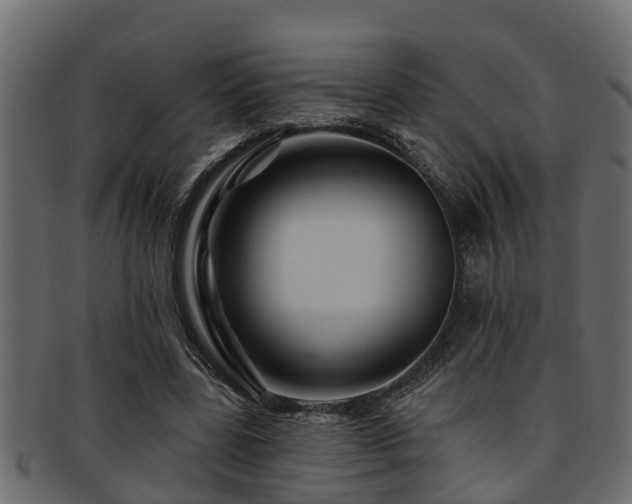 X0000093110539200709261252