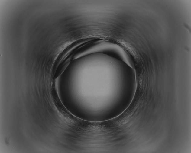 X0000093110540200709261252