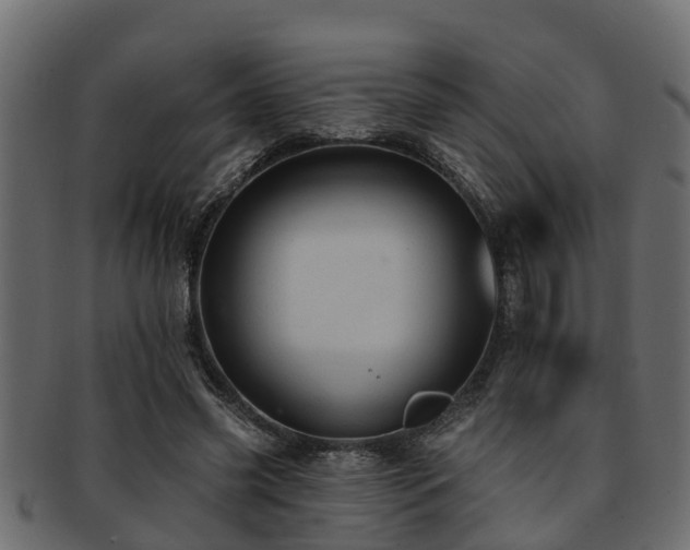X0000093110541200709261252
