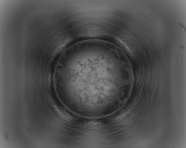 X0000093110542200709261252