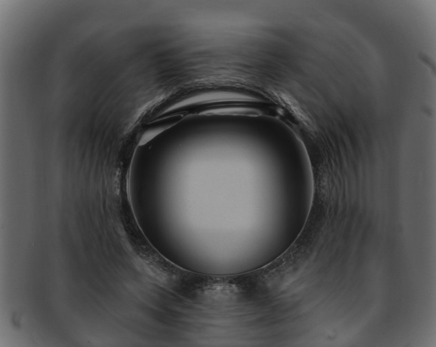 X0000093110543200709261252