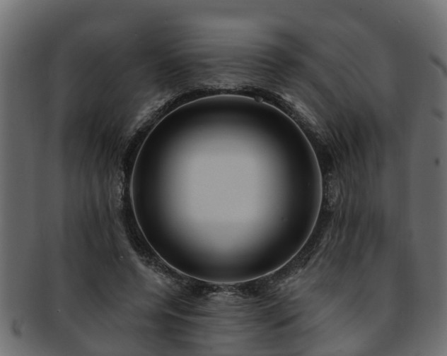 X0000093110544200709261252